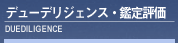 �ǥ塼�ǥꥸ���󥹡�����ɾ��
