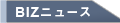 BIZ�˥塼��