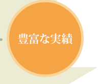 豊富な実績