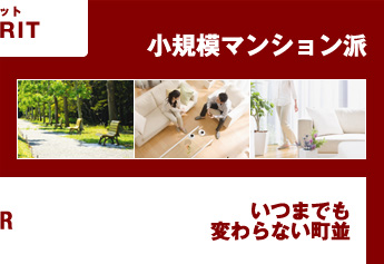 小規模マンション派 いつまでも変わらない町並