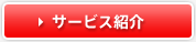 �����ӥ��Ҳ�