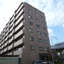ルピナス多摩川