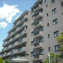 ステイツ武蔵新城市民プラザ通り