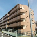 シルキー橋本