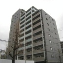 小石川アインス