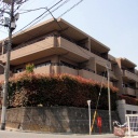 ナイスヒルズコート山王台