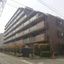 ライオンズガーデン綱島