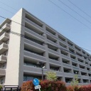 エコヒルズ横浜