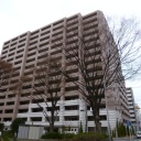 アデニウム新横浜