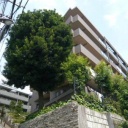 レクセルヒルズ中落合見晴坂