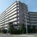 レックス藤沢