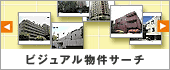 �ӥ��奢��ʪ�掠����