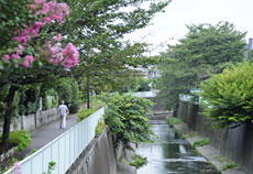 永福・浜田山エリア