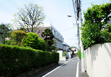 目白エリア