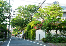 荻窪・西荻窪エリア(荻窪、南荻窪、西荻南、西荻北、松庵、善福寺)