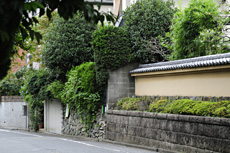 瀬田・上野毛エリア