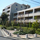 �ץ饦���п������