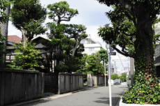 白金・白金台エリア
