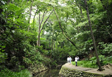 等々力・尾山台エリア