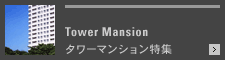 Tower Mansion ����ޥ󥷥��ʹ�¤����20���ʾ���ý�