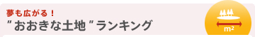 ̴�⹭���롪 �ɤ����������ϡɥ�󥭥�