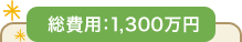�����ѡ�1,300����