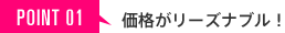 POINT01 ���ʤ��꡼���ʥ֥롪