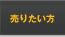 ��ꤿ����