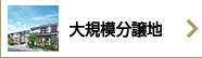 大規模分譲地