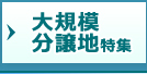 大規模分譲地