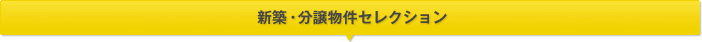 ���ۡ�ʬ��ʪ�糧�쥯�����