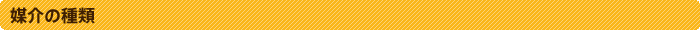 �޲�μ���