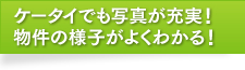 ���������Ǥ�̿������¡�ʪ����ͻҤ��褯�狼�롪