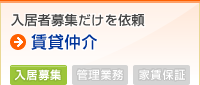 ������罸��������� �������