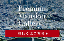 kawasaki_premium