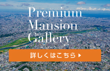 mizonokuchi_premium