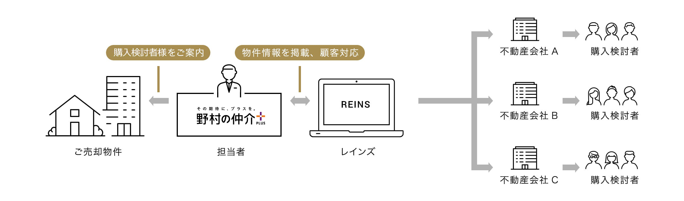 「レインズ（国土交通大臣指定流通機構）」を用いた販売