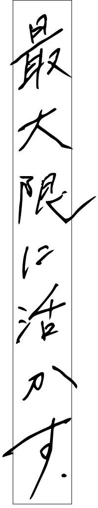 最大限に生かす