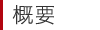 概要