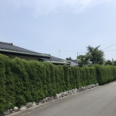 三島市若松町　古家付土地