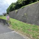 町田市小野路町　売地