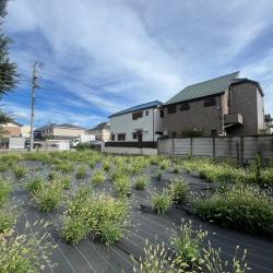 杉並区松庵3丁目 建築条件付き土地 No.1