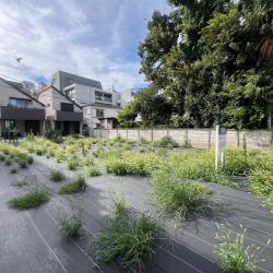 杉並区松庵3丁目 建築条件付き土地 No.3