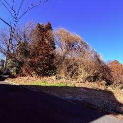 所沢市大字上山口　土地