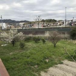 京都市西京区大枝中山町 土地