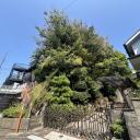 南区大岡3丁目　土地