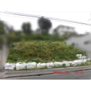 土地