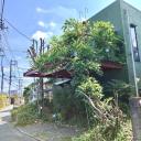 調布市柴崎1丁目　中古戸建