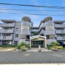 セザール長原