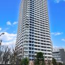 M．M．TOWERS　the　South